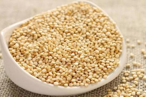 藜麦的种植效益怎么样 藜麦种植前景分析