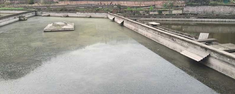 甲鱼养殖场建设 甲鱼养殖场地要求