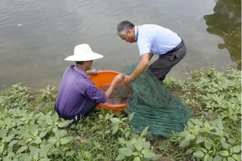 南美白对虾养殖特性