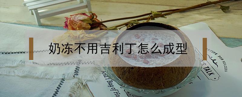 奶冻不用吉利丁怎么成型(做奶冻没有吉利丁可以用什么替代)