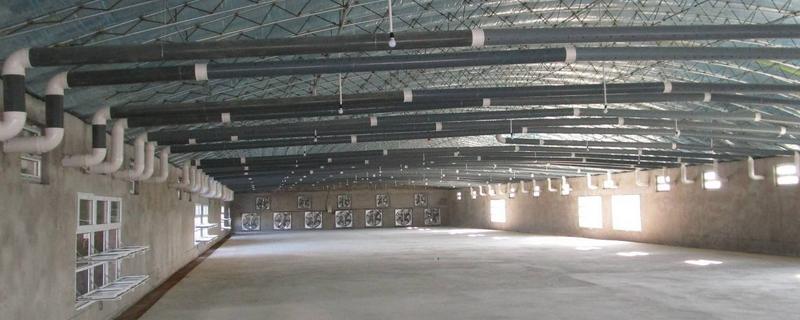 肉鸡养殖大棚应怎么建 如何建养鸡大棚