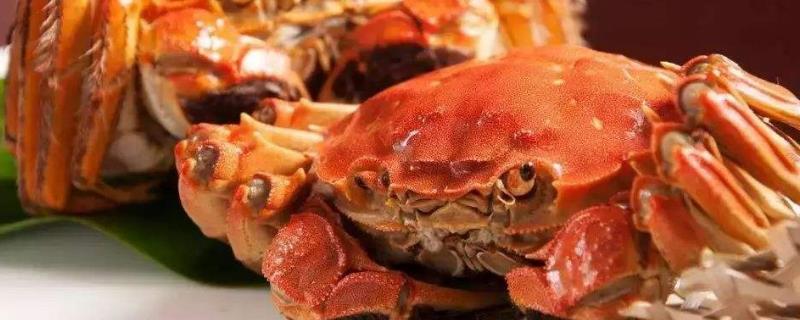 大闸蟹蟹黄黑色能吃吗（大闸蟹蟹黄是黑色的能吃吗）