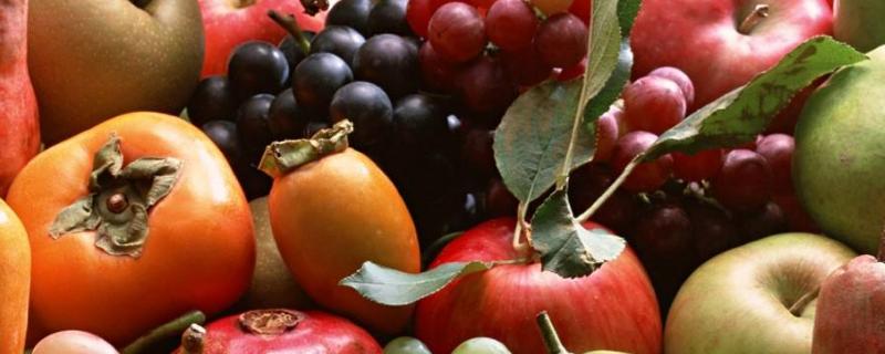 夏天是什么水果上市的季节 秋冬季节什么水果上市