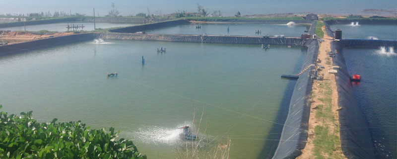 水产养殖技术学什么 水产养殖技术是干什么的