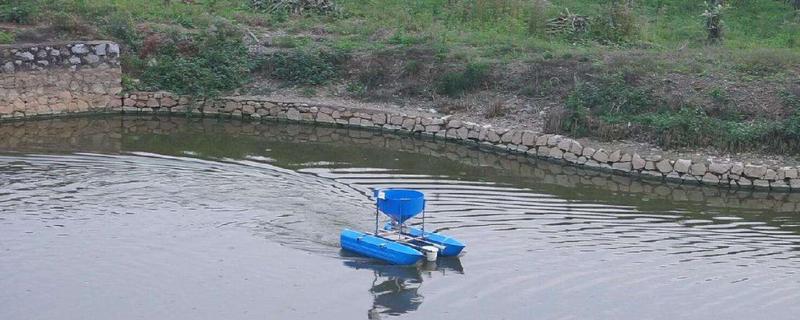 河虾养殖水位 对虾养殖水位多高