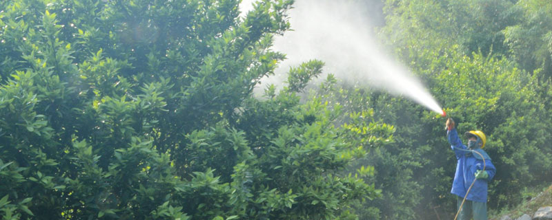 清园用什么药（清园用什么药好）