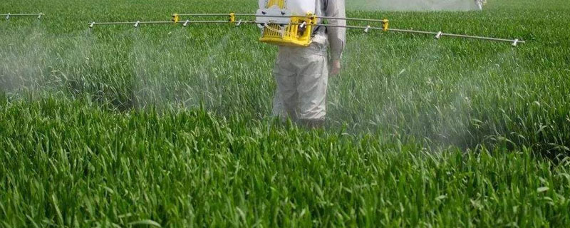 百菌清的使用方法,病害初期施药效果最好