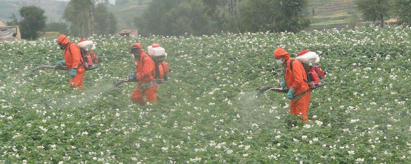 一桶农药加入多少红糖好（一桶农药加入多少红糖好喝）