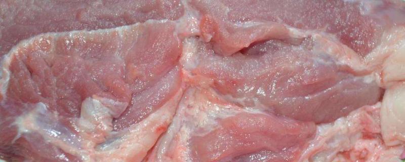 猪后臀肉适合做什么，有什么特点（猪后臀肉是不是后腿肉）