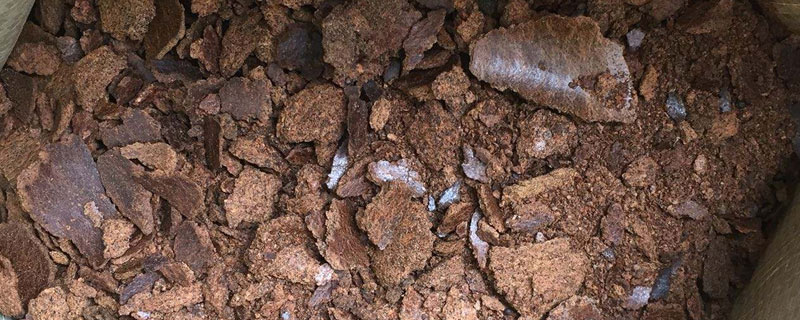 菜籽饼可以直接施肥吗（菜籽饼可以直接施肥吗作用大吗）