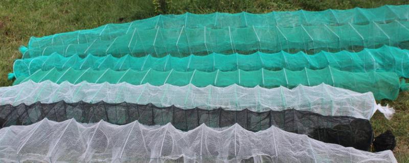 为什么大鱼很少进地笼,地笼扑鱼用什么饵料好