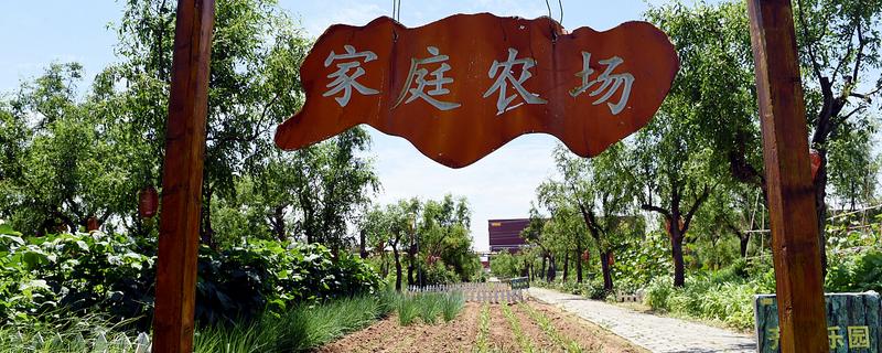 什么是家庭农场它有什么基本特征,家庭农场的申请条件