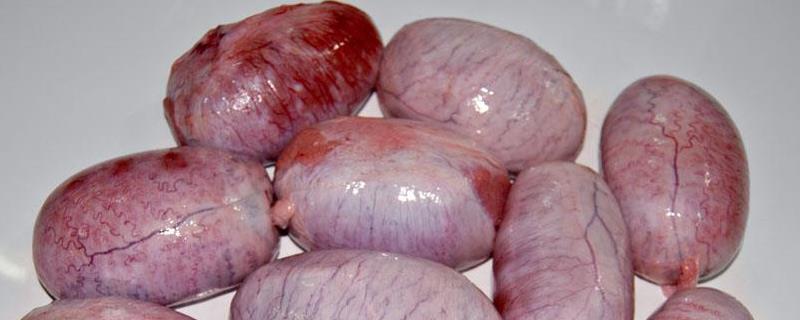 猪蛋怎么处理才能吃,是什么器官