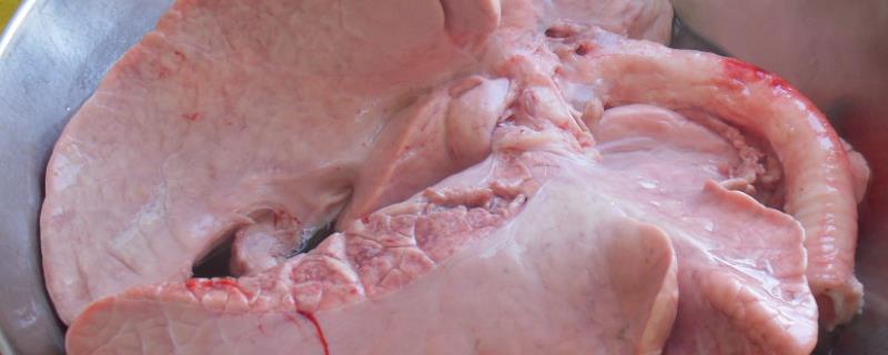 怎么洗猪肺，猪肺吃了有害处吗 洗猪肺怎么洗的干净