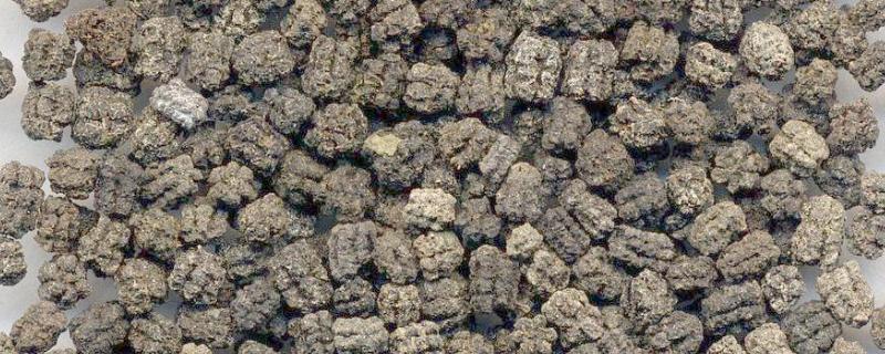 蚕砂可以当花肥吗，有什么危害吗（蚕砂能当花肥吗）