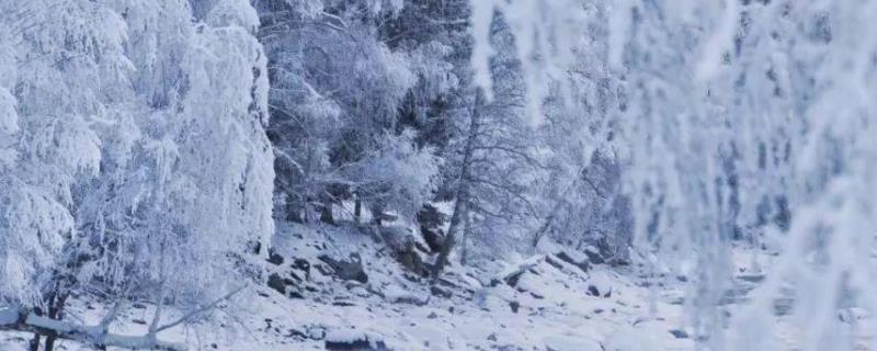 寒潮是否有利于农业养殖,有利于消灭病虫害吗