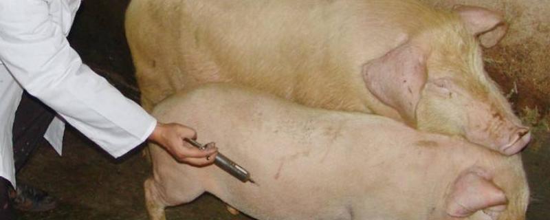 兽药残留属于什么危害，有哪些种类 兽药残留属于什么危害,有哪些种类呢