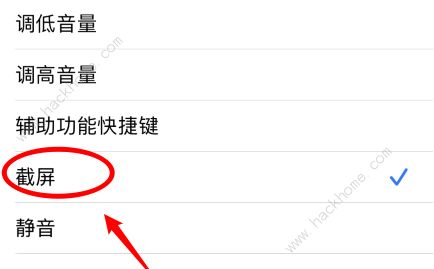 ios14怎么双击背面截屏 怎么双击背部截图[多图]图片3