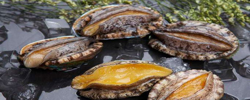 鲍鱼如何长时间存放 鲍鱼怎样存放时间长