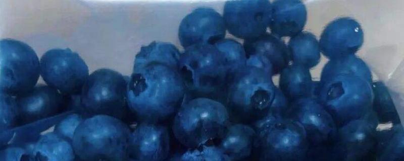 蓝莓储存保鲜方法，保存期限是多久（蓝莓保存多长时间）