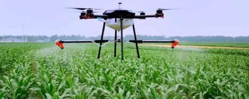 农药的主要成分，农药的危害有哪些（农药的主要成分是什么）