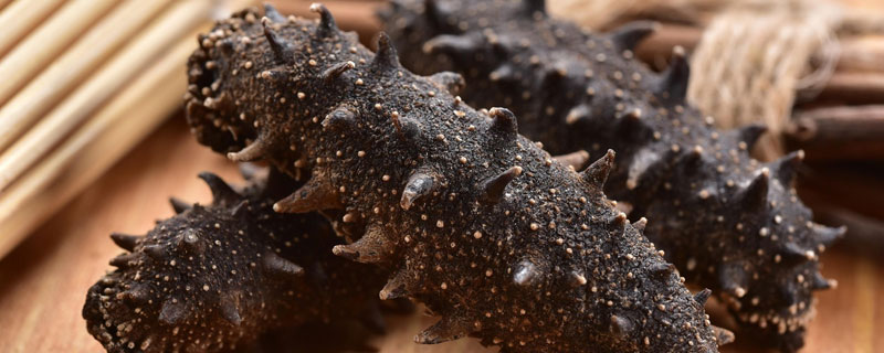 海参和海茄子的区别(海参与海茄子的区别)