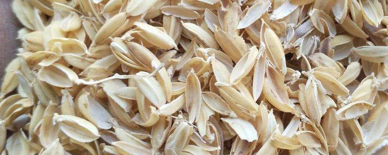 稻壳能做什么东西，稻壳的营养成分 稻壳的用途