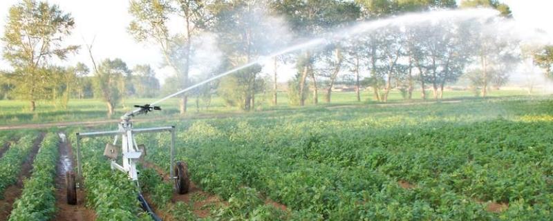 节水灌溉有哪几种，是干什么的（节水灌溉有哪三种）