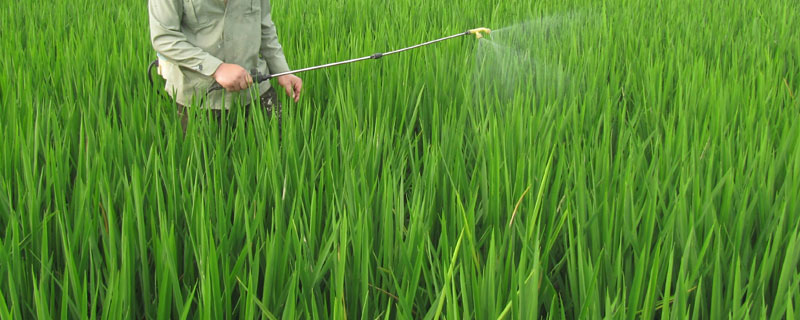 农用硫酸锌的作用效果，使用说明 农用硫酸锌的作用效果,使用说明