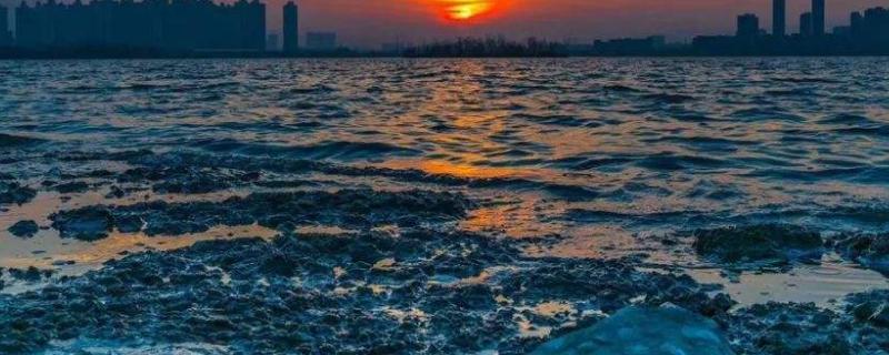 总磷超标的原因及对策，有哪些危害 总磷超标的主要原因