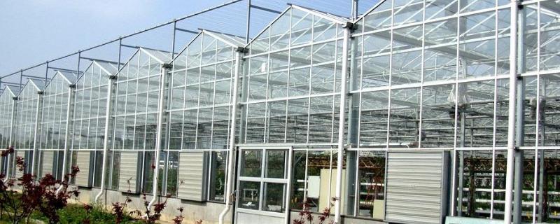 如何建造温室玻璃大棚，造价多少 玻璃温室大棚造价参考
