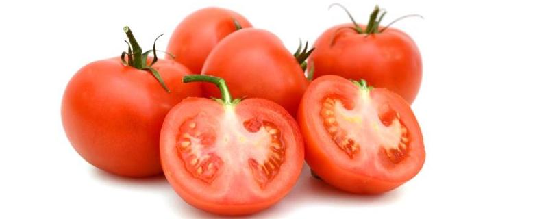 防治番茄卷叶的偏方,原因及防治方法 番茄卷叶有什么特效药