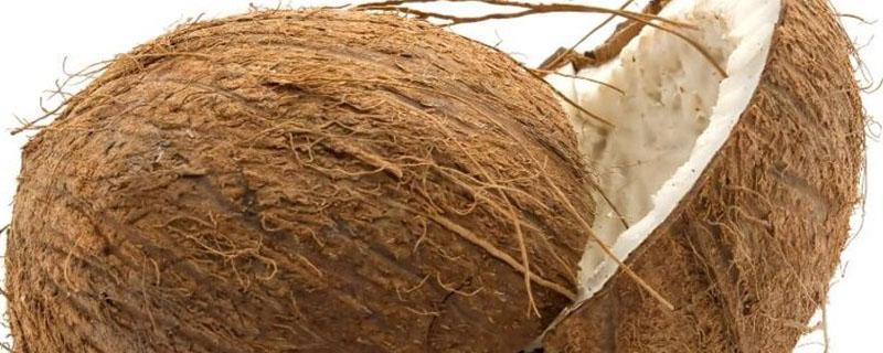 椰子壳怎么处理成肥料（椰子壳能不能做有机肥）