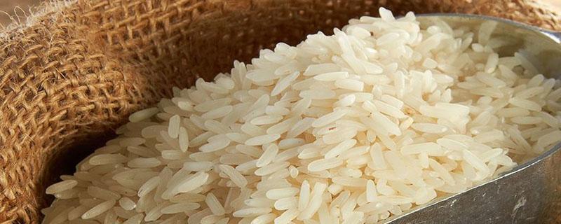 东北大米是水稻还是旱稻 水稻和东北大米的区别