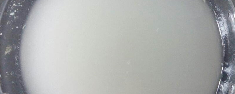 发酵淘米水浇花比例 怎么发酵淘米水浇花
