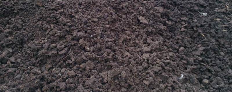 生物肥可以在雨天施吗 雨天可以给植物施肥吗