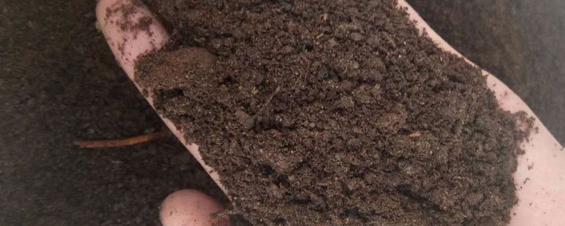 羊粪埋土里多久发酵 羊粪直接埋在泥土里需要发酵多久