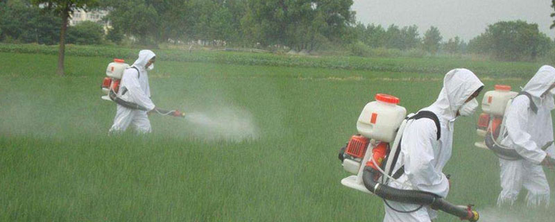 除草剂加洗衣粉能增加药效吗 除草剂里加洗衣粉的作用