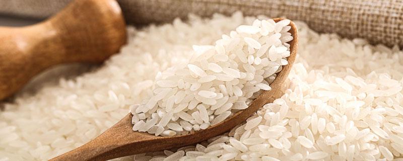 腹白米为不良品质米吗（腹白米 好还是不好）
