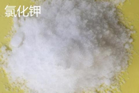 钾肥有哪些种类