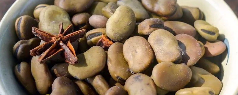 茴香豆是什么豆 茴香豆是什么豆做的