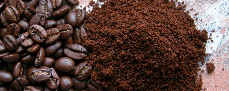 咖啡粉可以作肥料吗 咖啡粉给哪些植物当肥料