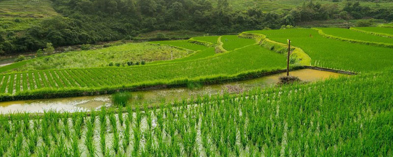 农田灌溉水标准（农田灌溉水标准2015）