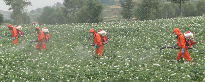 限制农药有哪些（限制性农药有哪些）