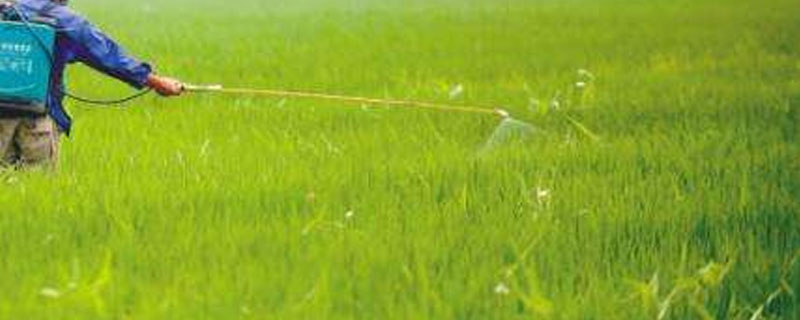 精喹禾灵残留期多少天 精喹禾灵有效期多少天