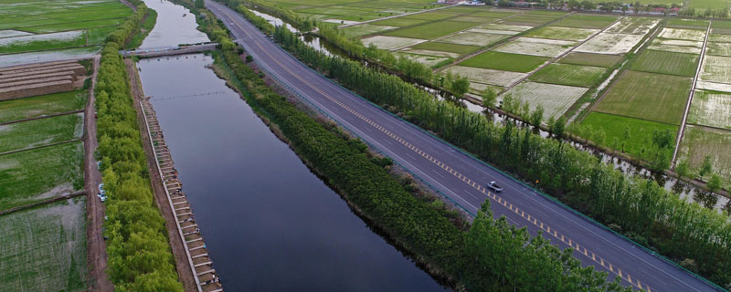 水稻孕穗期可以打灭草松吗（稻子孕穗期打二甲灭草松稻子有影响吗）