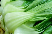 油菜百科（油菜小百科）