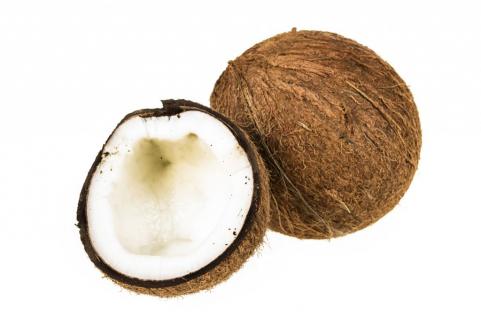 椰子壳的作用,椰子壳的用处,椰子壳的功效与作用