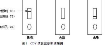 养犬技术