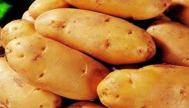 马铃薯的营养价值及功效 马铃薯的营养功效与作用